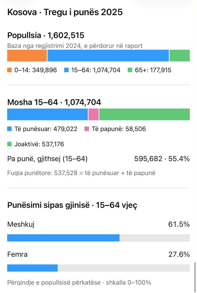 Të rinjtë jashtë punës dhe arsimit: shifrat duhen sqaruar